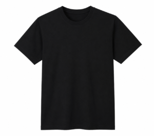 Premium Black Crew Neck T-Shirt